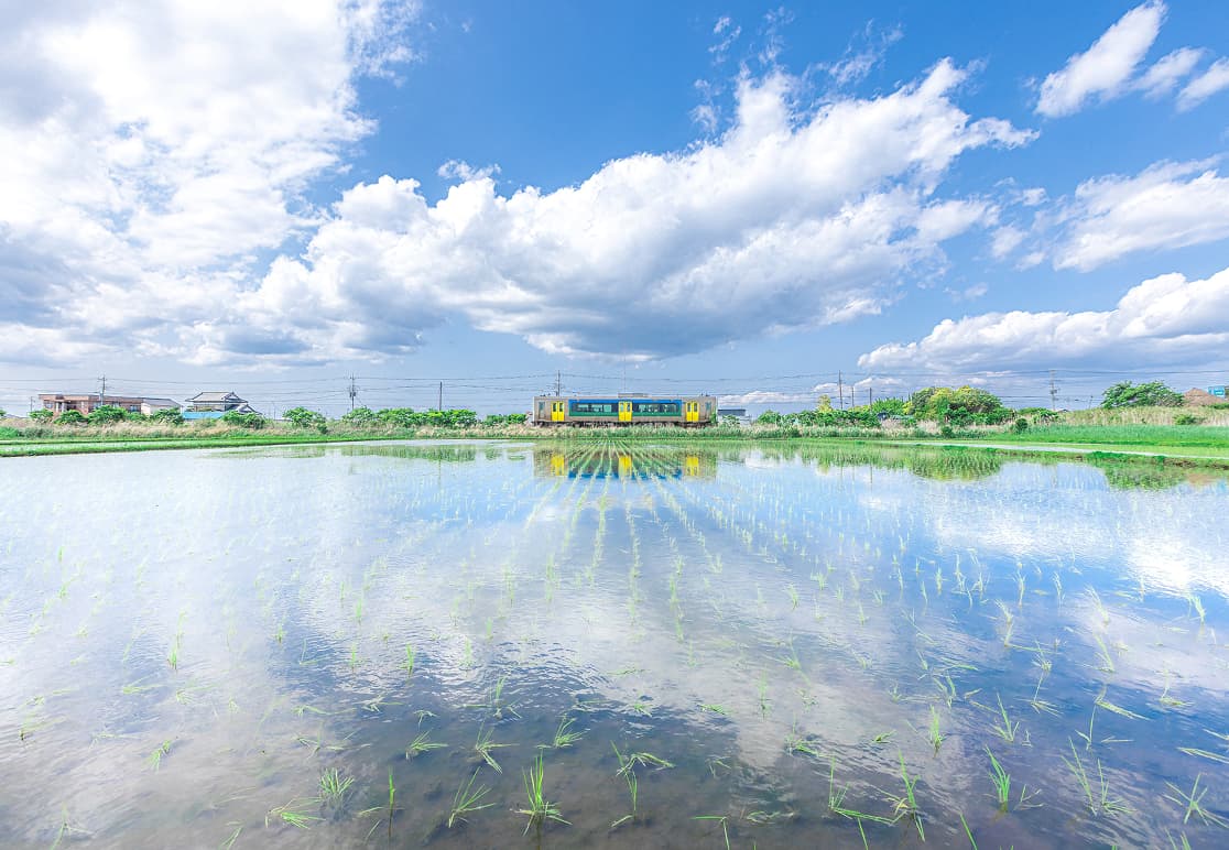 木更津市