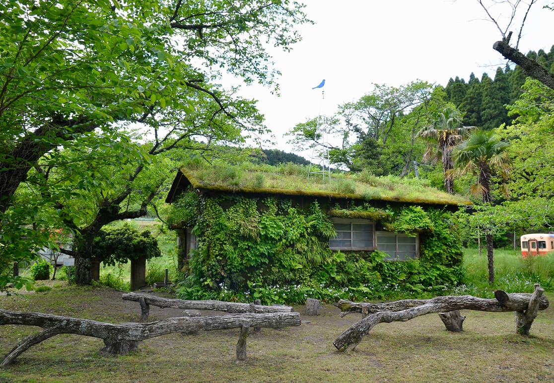 広域