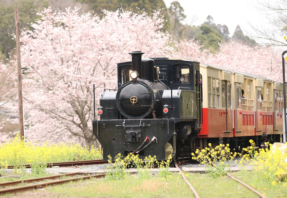 市原市