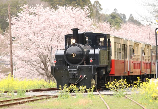 市原市